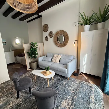 Quartier Vieux Tours, Grand Avec Coin Appartement *